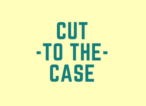 Read more about the article Cut to the Case
