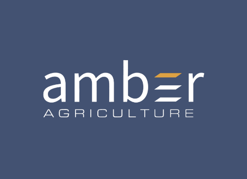 Read more about the article Amber Agriculture